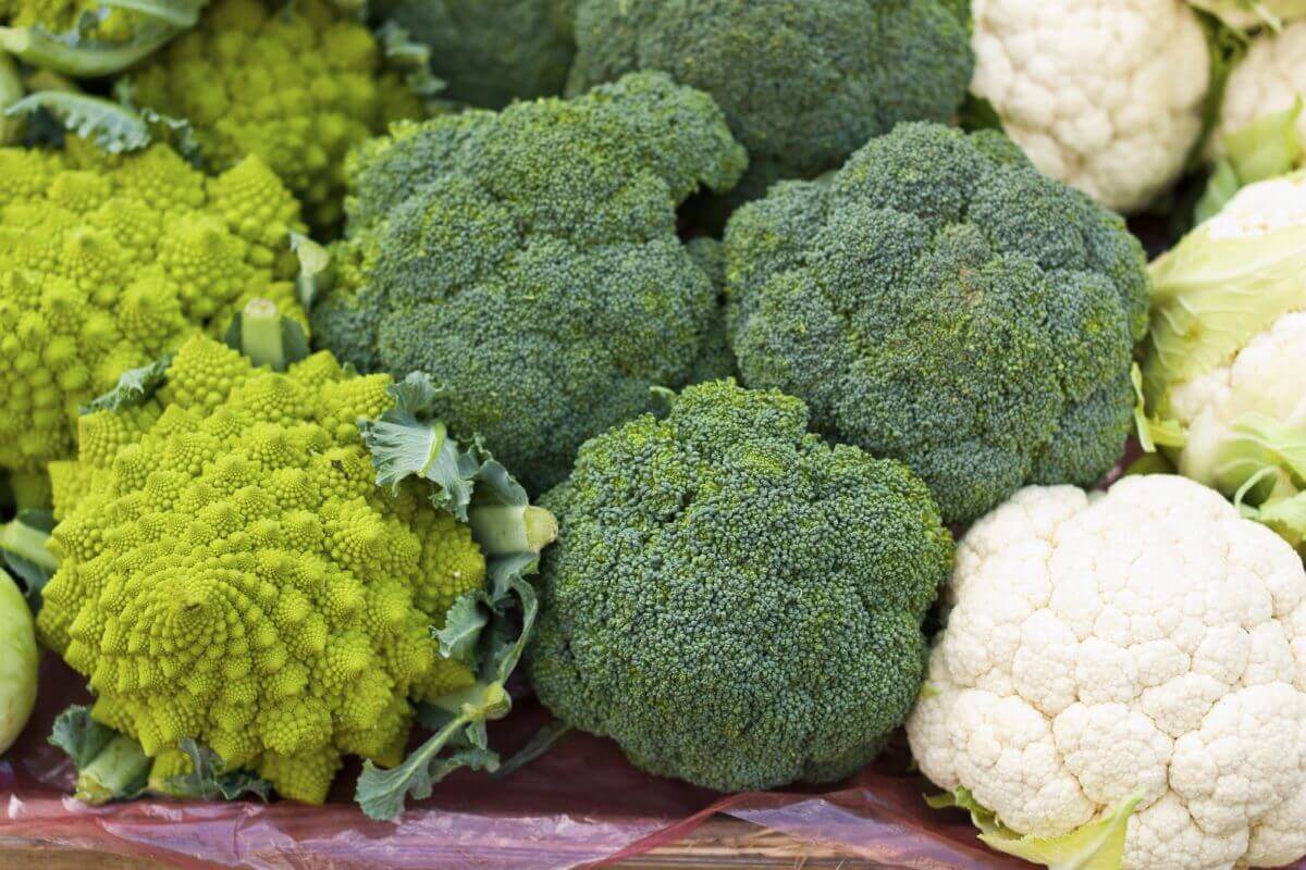 Prevención del cáncer Image