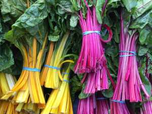 Steamed Chard Recipe Image